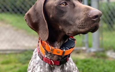 Cliff -GSP