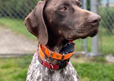 Cliff -GSP