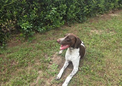 Max – GSP